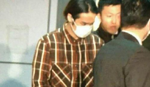 明星家暴刘,刘星家暴事件引发社会关注