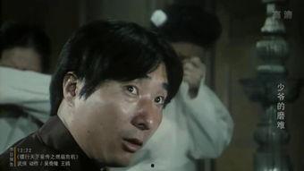 少爷的磨难演员表,演员阵容揭秘，实力派齐聚演绎感人故事