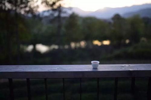 清闲图片,悠然自得